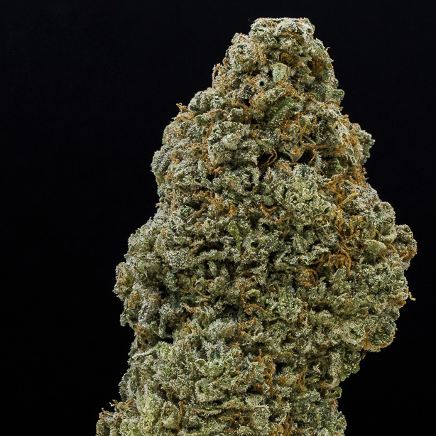 Photograph of product: Jar Co Silver Kush - 3.5g