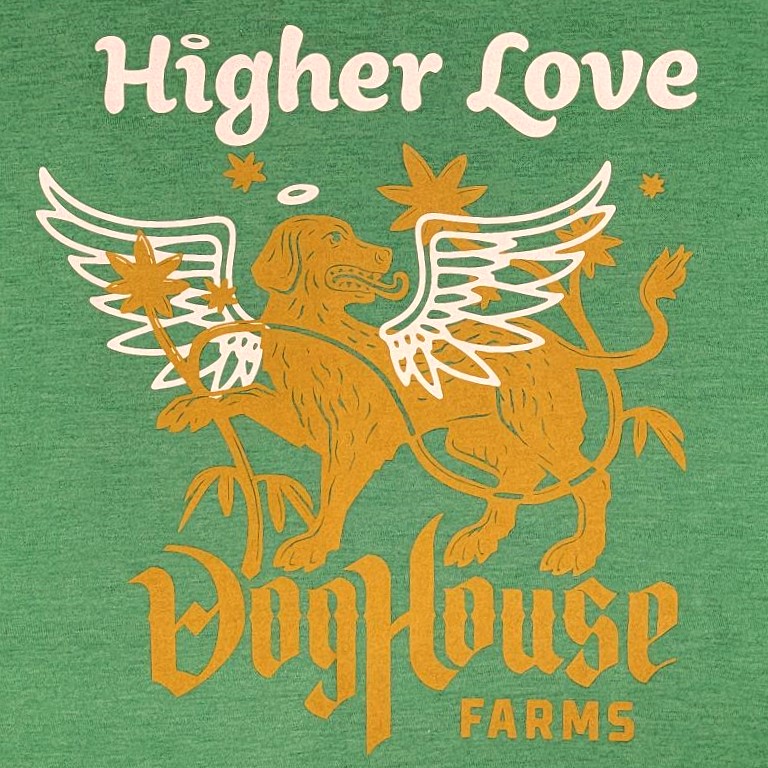 Photograph of product: DogHouse Collab Tee - Green (M)