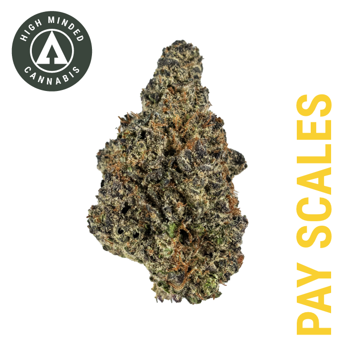 Photograph of Product: Pay Scales - Silver Tier - 2g