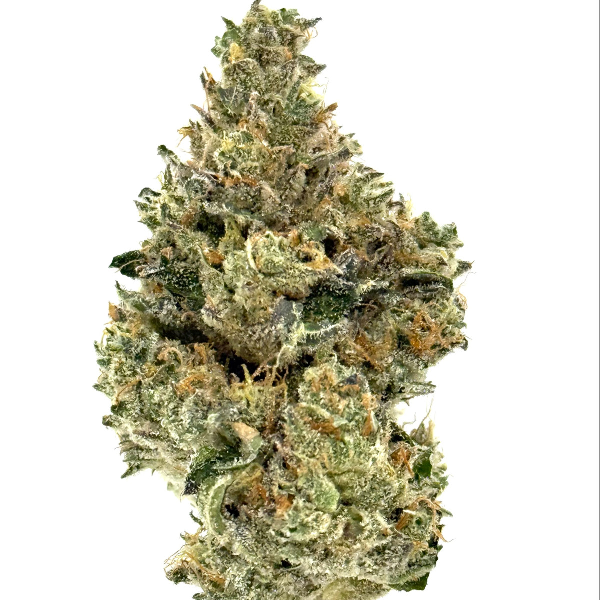 Photograph of product: Platinum Garlic Packaged Flower - AU Ironlung - 28g