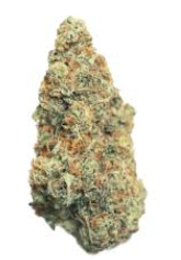 Photograph of product: GoGurtz | Pro Gro - 1g