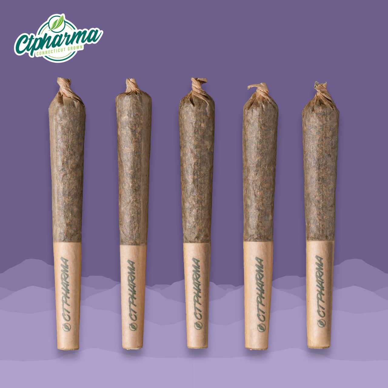 Photograph of product: CTPharma Scout Breath Shorties 25.45% (I) 2g 5 Pack - 26105