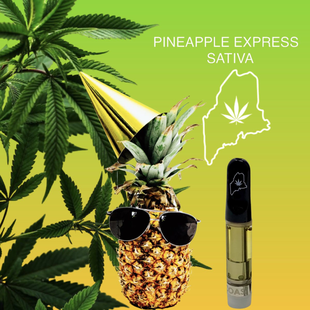 Photograph of product: High Coast Cartridge Pineapple Express 1 G