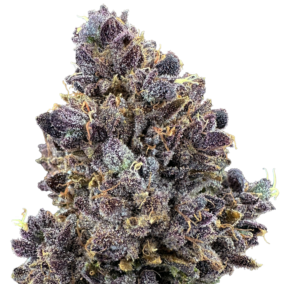 Photograph of product: Lemon Cherry Sherbert - 3.5g