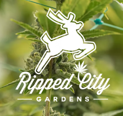 Photograph of product: Ripped City Gardens | GOBSTOPPERS - 28g