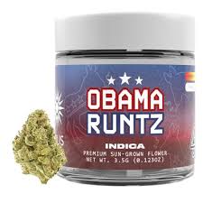 Photograph of product: Runtz | Obama | 1.78% terps - 3.5g