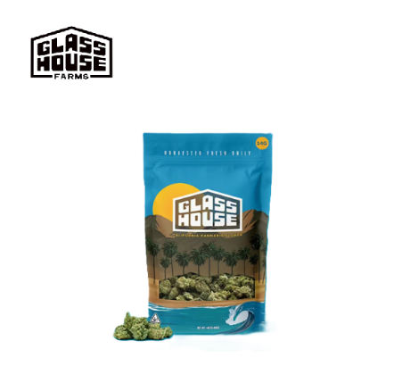 Photograph of product: JEALOUSY MINTS 14G