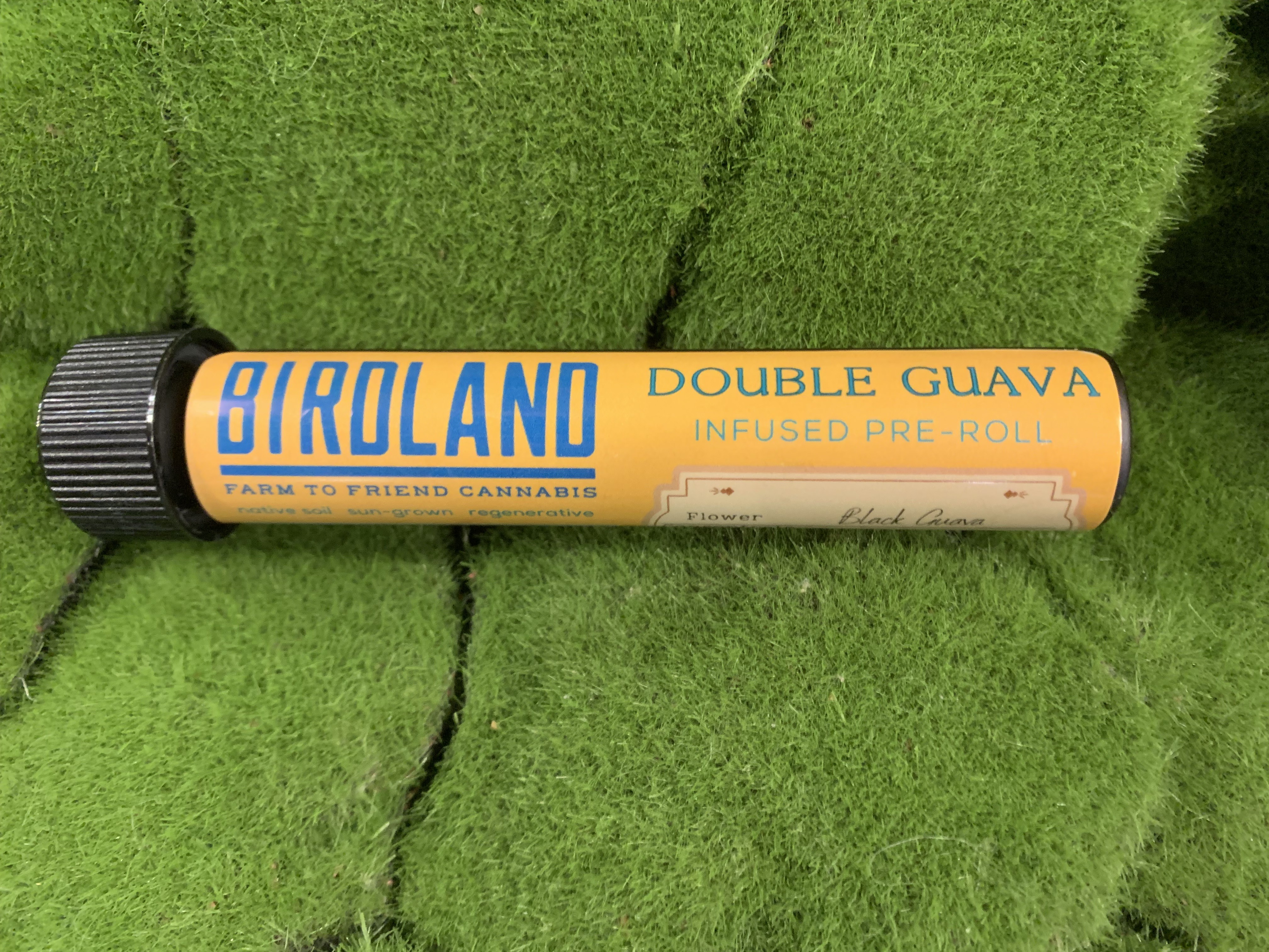 Photograph of product: .9g Rosin Infused Pre Roll Single | Double Guava | Birdland