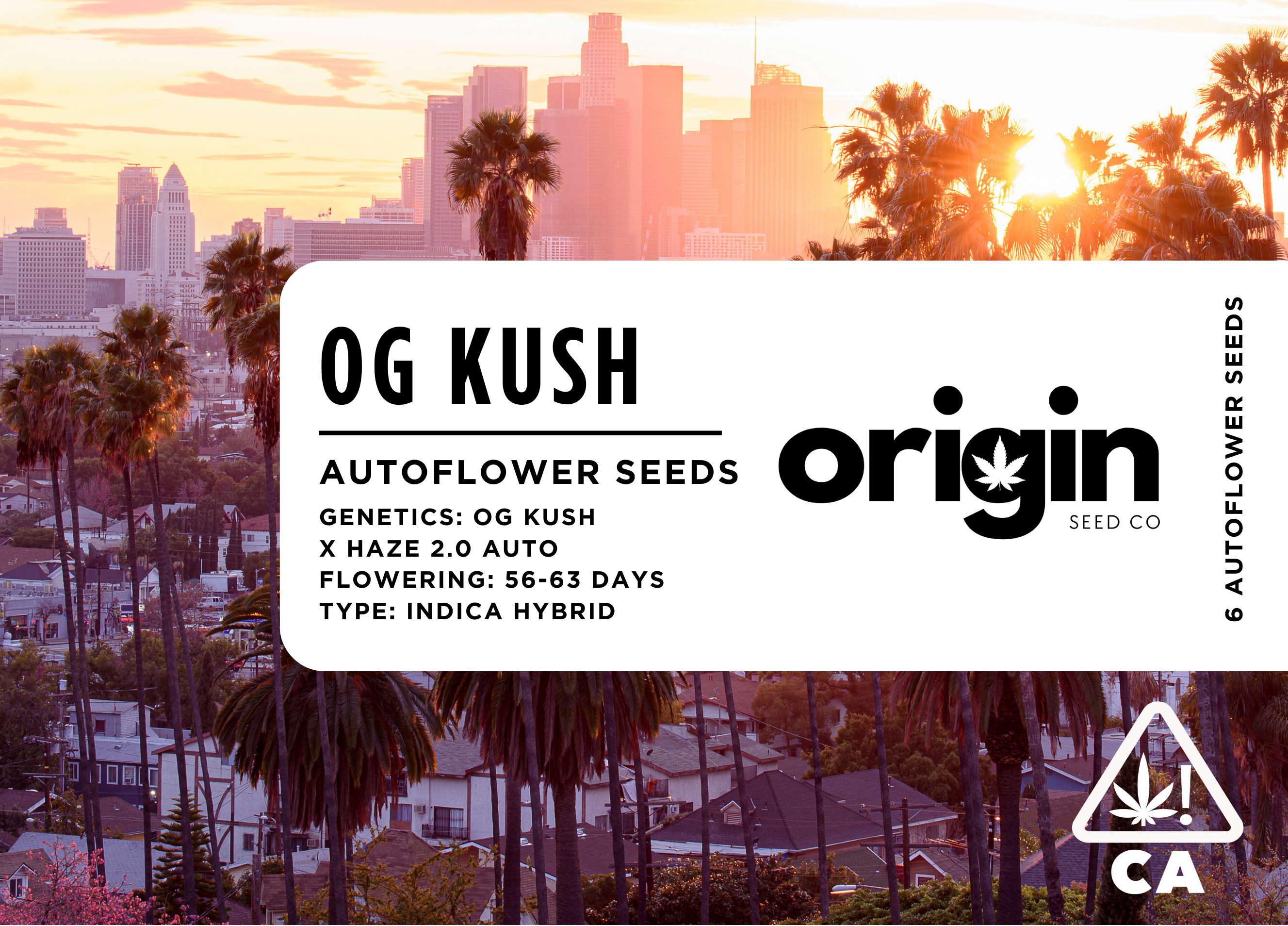 Photograph of product: Autoflower 6pk - OG Kush