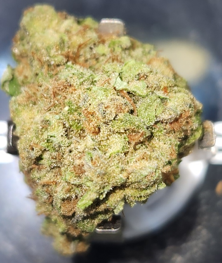 Photograph of product: Tahoe Kush - (I) - 28g