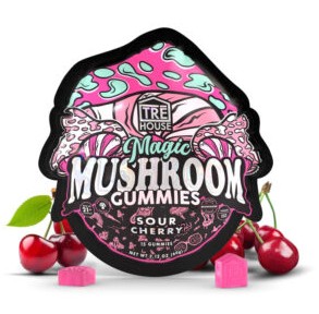 Photograph of product: Trehouse Mushroom Gummies - $40