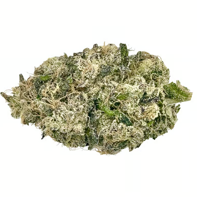 Photograph of product: RUNTZ S1 | MINI BUDS | 14G