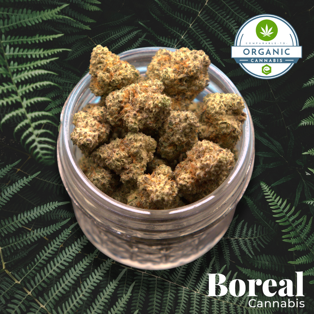 Photograph of product: Boreal | Chem OG | Bulk Flower - 28g