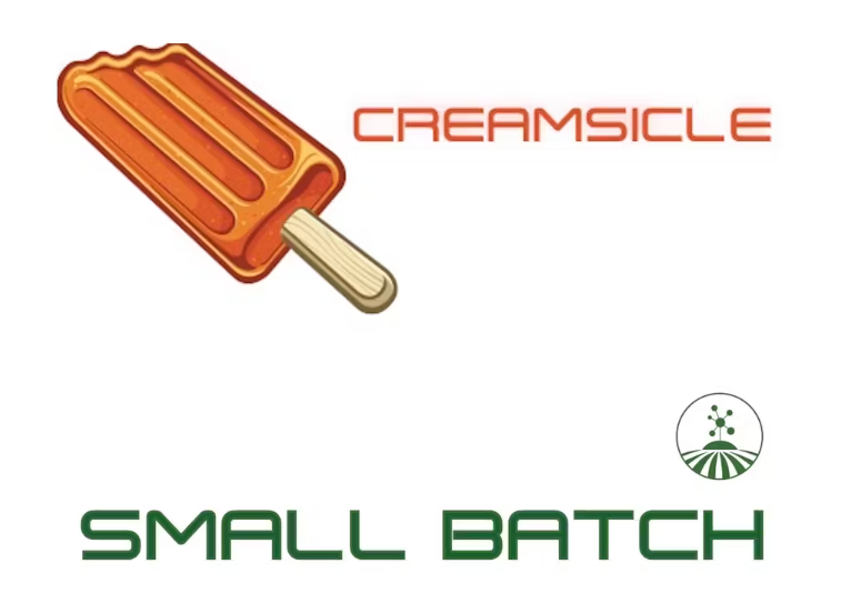 Photograph of product: Molecular Farms |  Creamsicle  | Pre-Packaged Flower | 3.5g