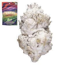 Photograph of product: Terpy's - Jack