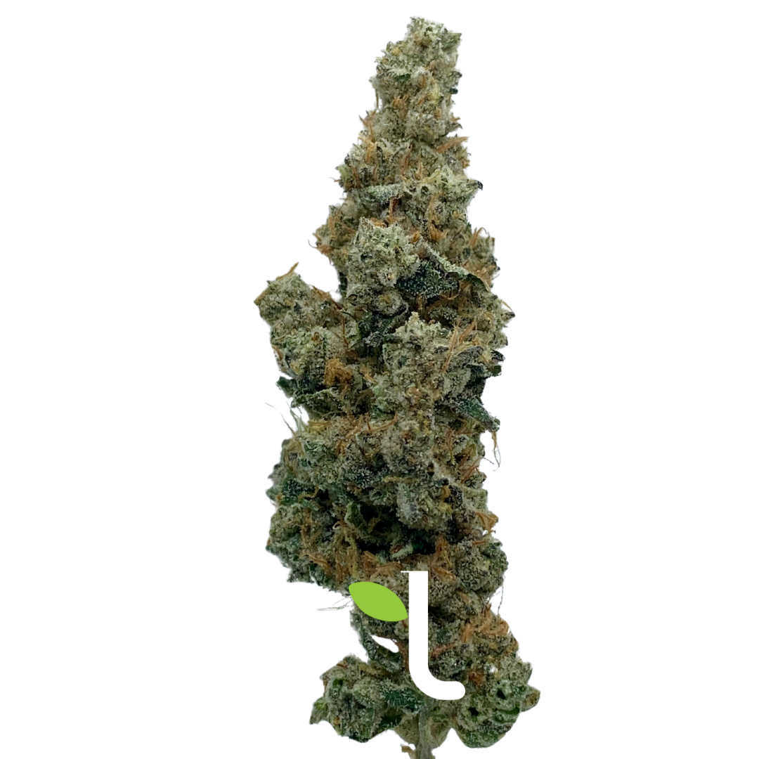 Photograph of product: Sour Garlic Cookies | Flower - 1g