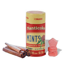 Photograph of product: Nanticoke | Mints | Cinnamon | 100mg | 20 Count