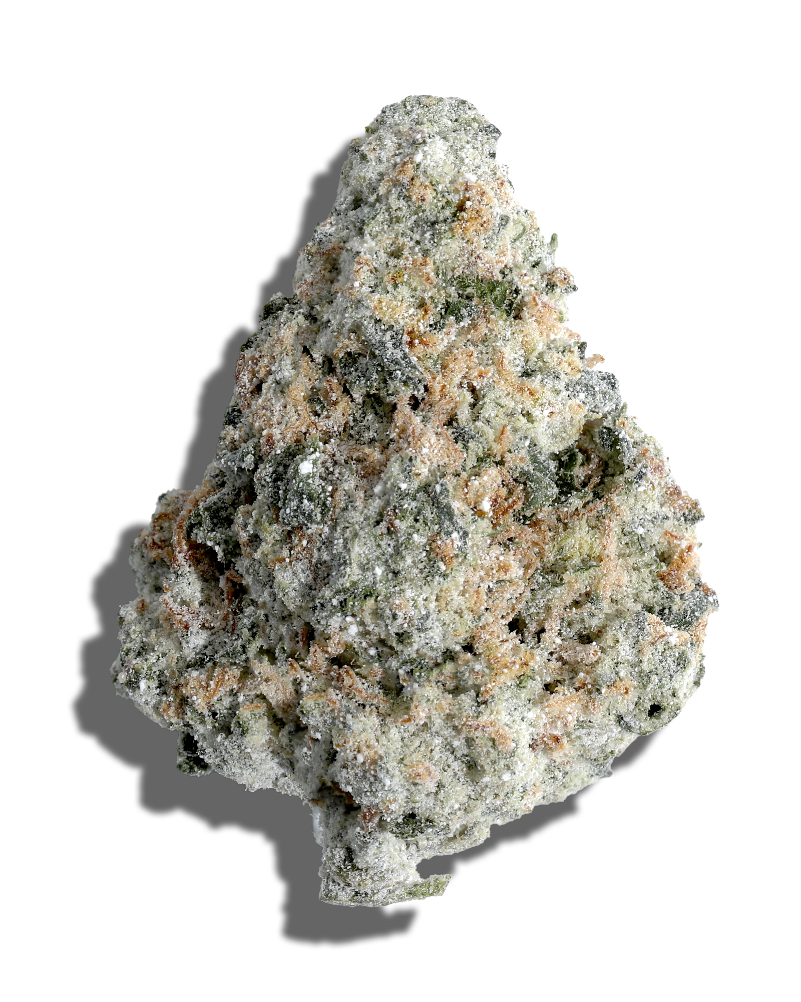 Photograph of product: Jenny Kush X Jack Herer Amp'd Live Resin Infused Flower 5g