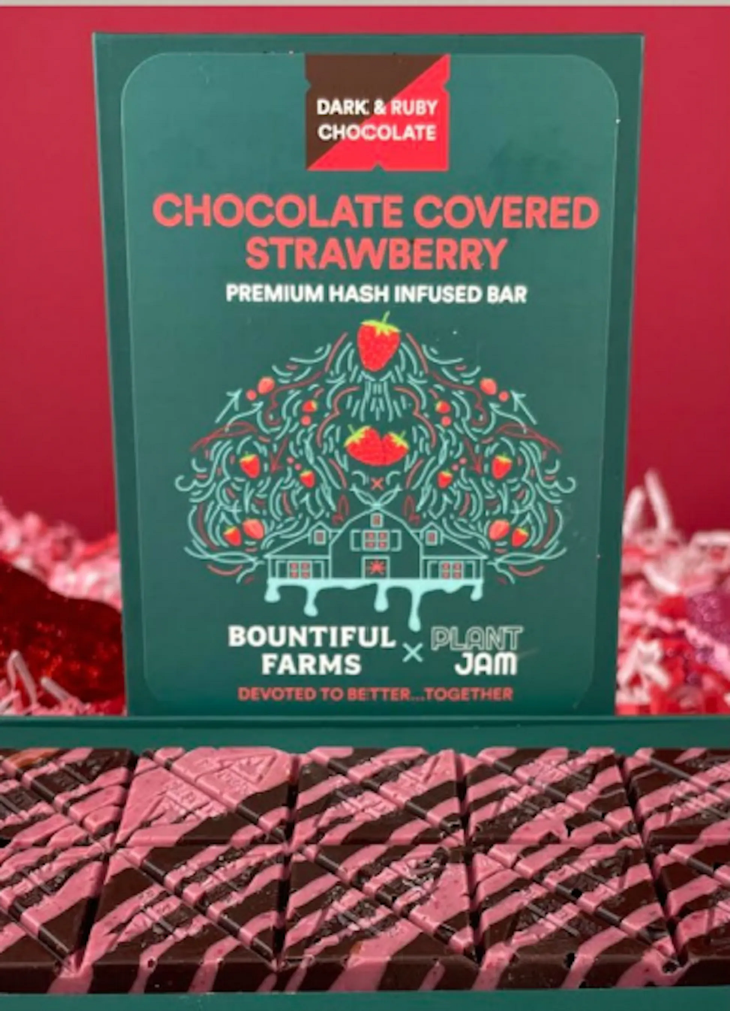 Photograph of product: Chocolate Covered Strawberry Bar | 100mg