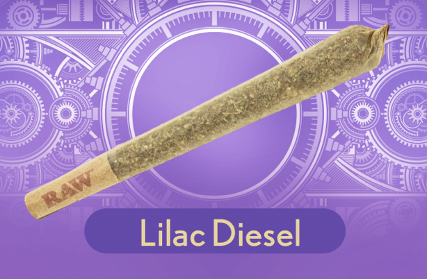 Photograph of Product: Craft Cannabis of VT Preroll Two Pack | Lilac Diesel