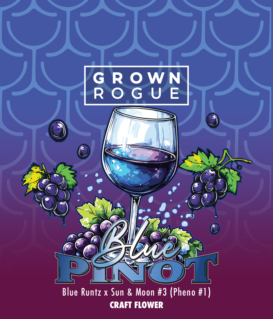 Photograph of product: Blue Pinot Buds by Grown Rogue - 28g