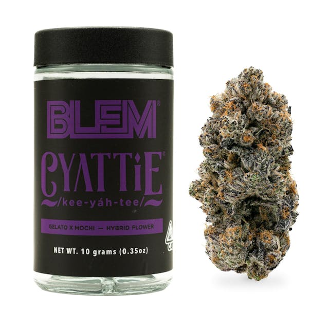 Photograph of product: Cyattie | 10g - 