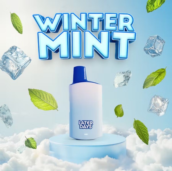 Photograph of product: Winter Mint Disposable - 2g - SIN