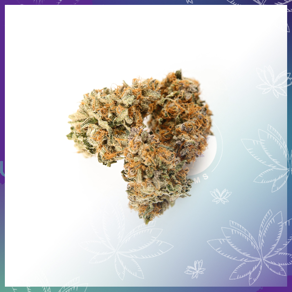 Photograph of product: Cherry Whip - 28g