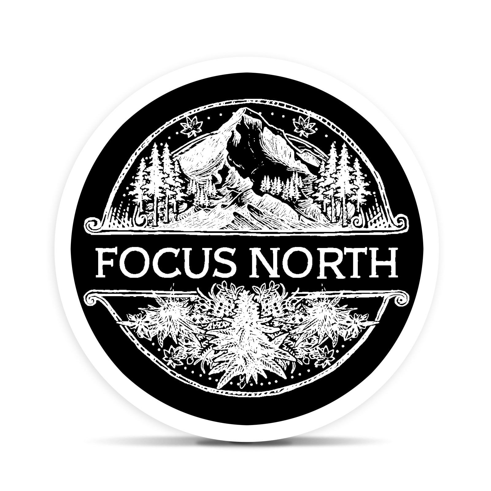 Photograph of product: Funk Mountain -  1g Live Rosin