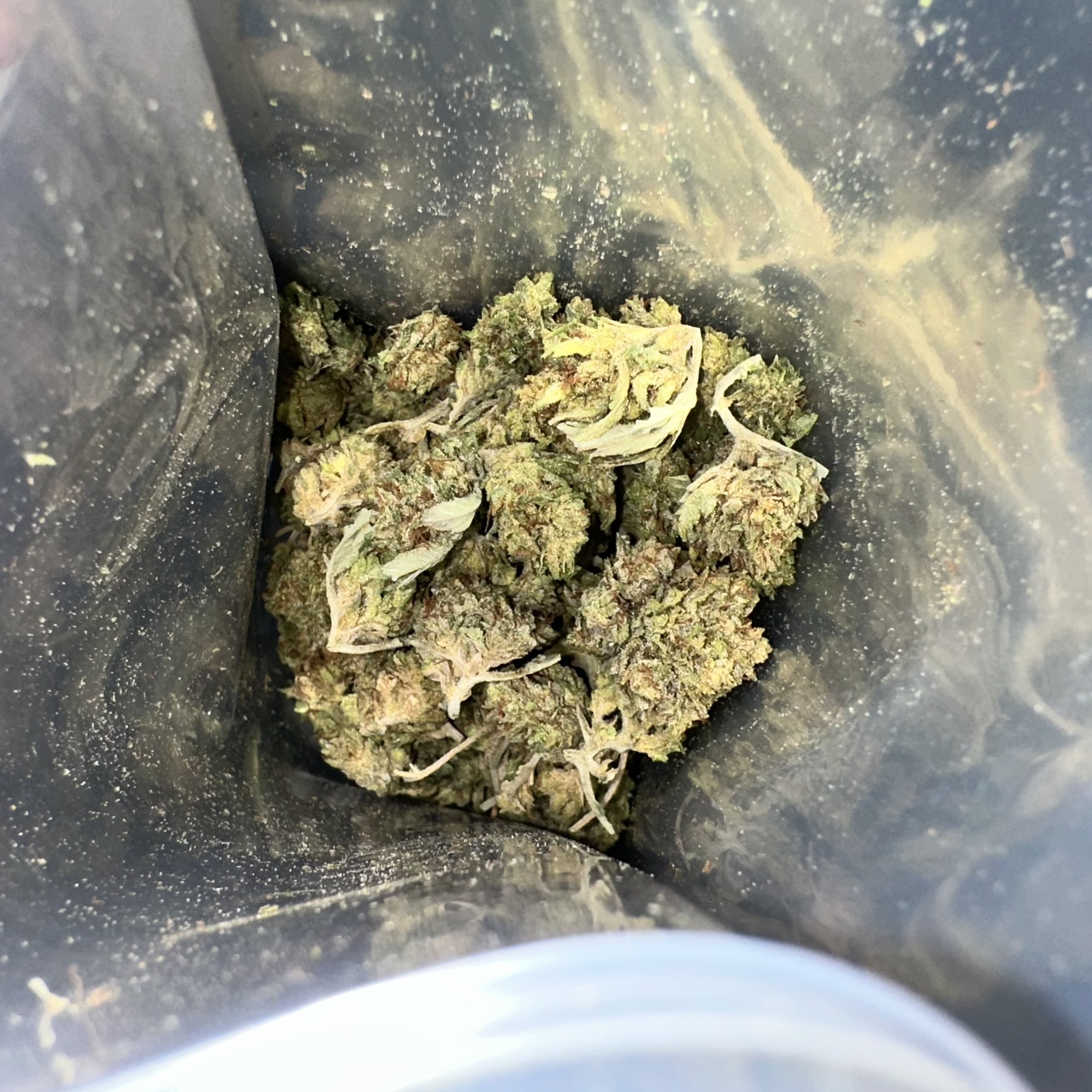 Photograph of product: $30 GMP Flower - Salmon Kush - 28g