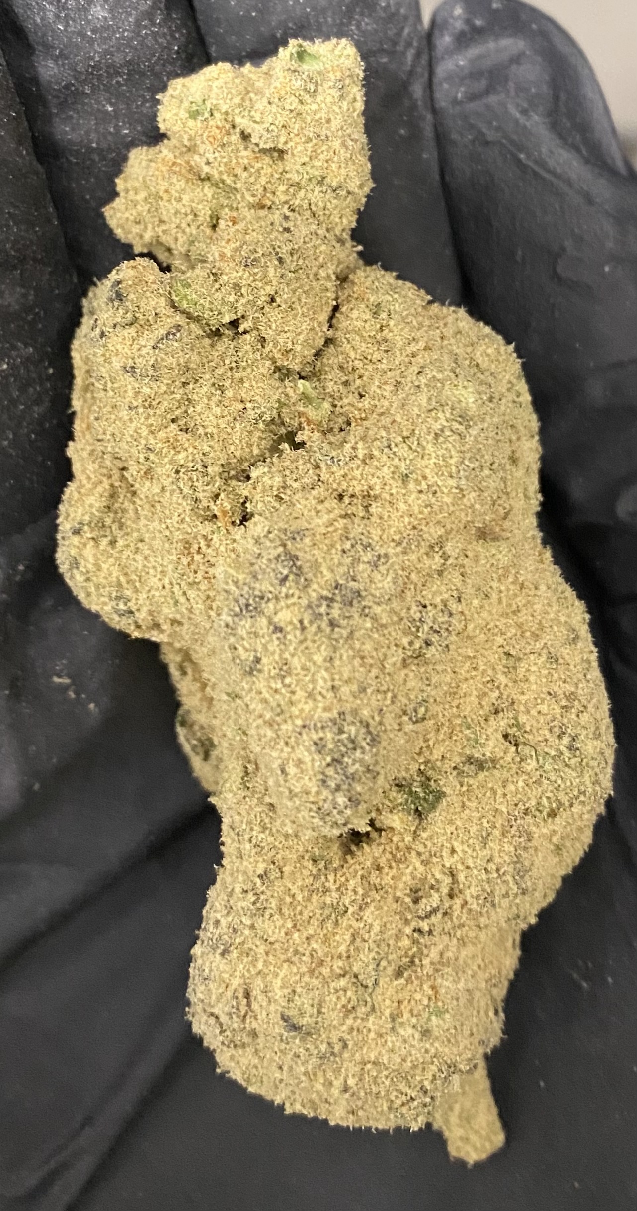 Photograph of product: Grape | Live Resin | Moon Rocks | Deli Style | Tier Six - 1g