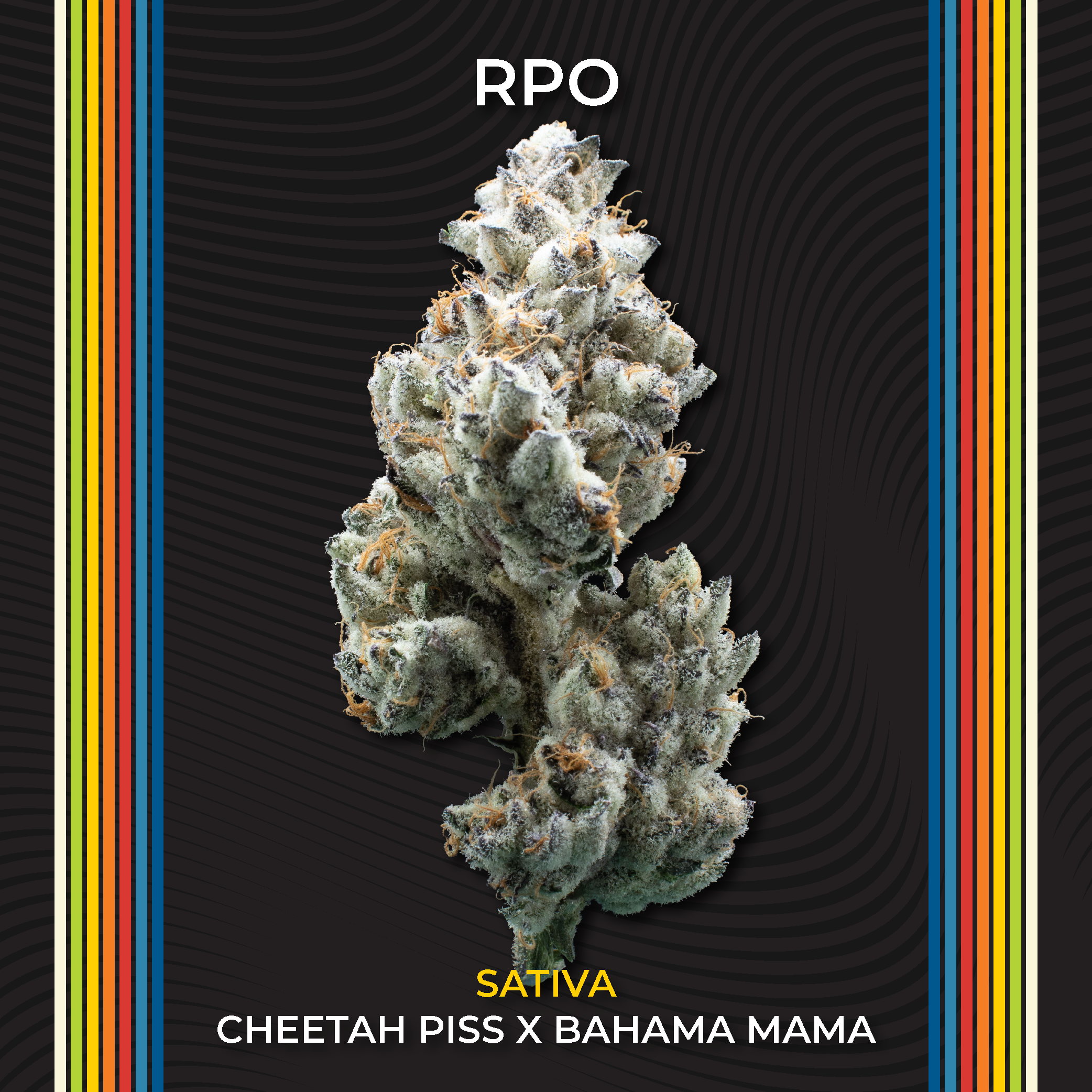 Photograph of Product: Certified | 2.83g | Flower | Buds | RPO