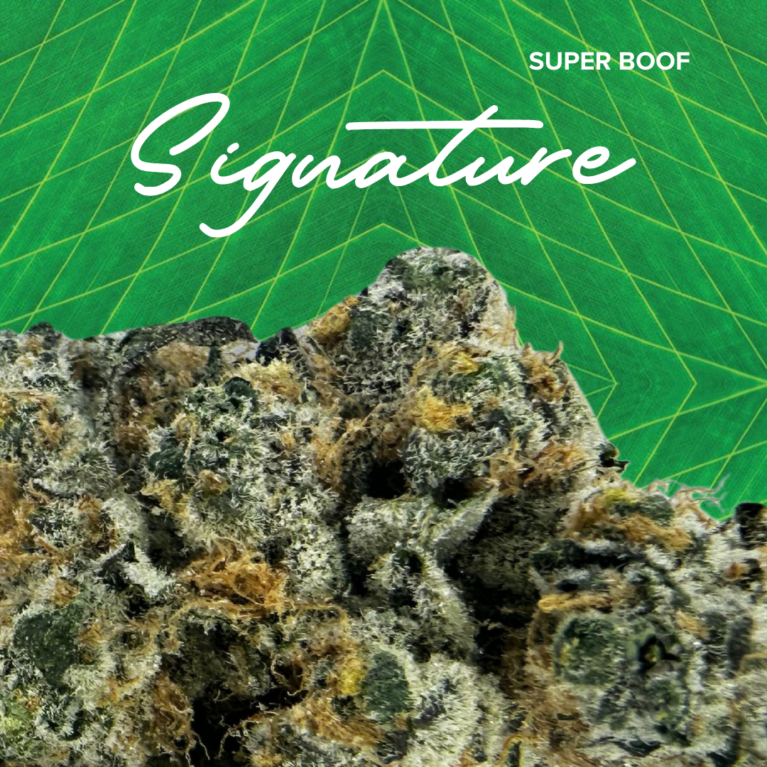 Photograph of product: Signature | Sper Bf. | 3.5g