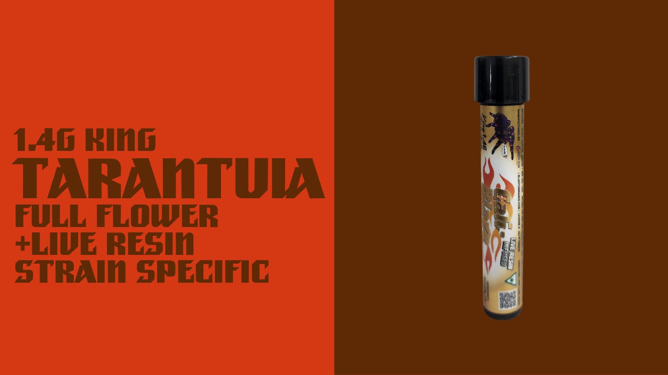 Photograph of product: Cali Blaze King Tarantulas 1.4g Tropicanna Banana