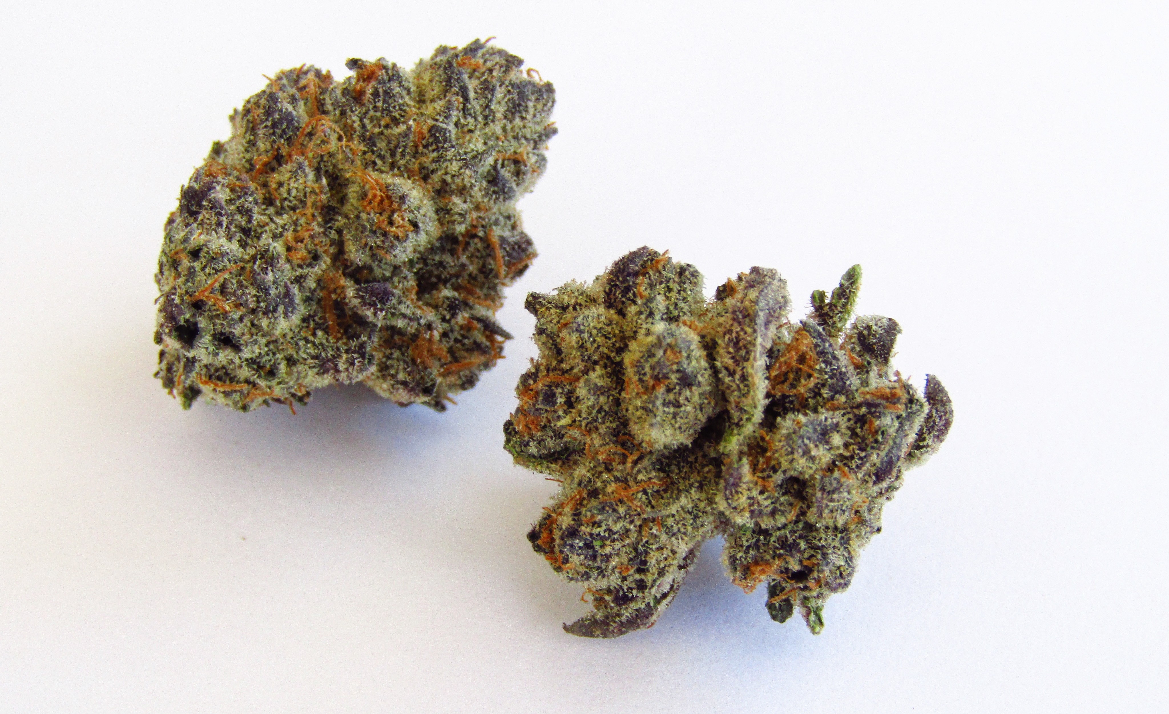Photograph of product: Purple Cherry Sunset - Rec - Rec - Bulk - 28g