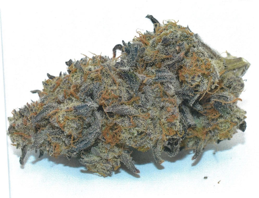 Photograph of product: Curaleaf Whole Flower 3.5g GMO (H) 01015 TC 36.518% (3.5g)