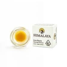 Photograph of product: Himalaya - GMO Cookies Terp Sauce - 1 Gram