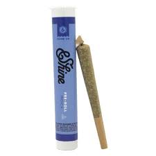Photograph of product: Shine Grape Stomper OG Single Preroll 1g
