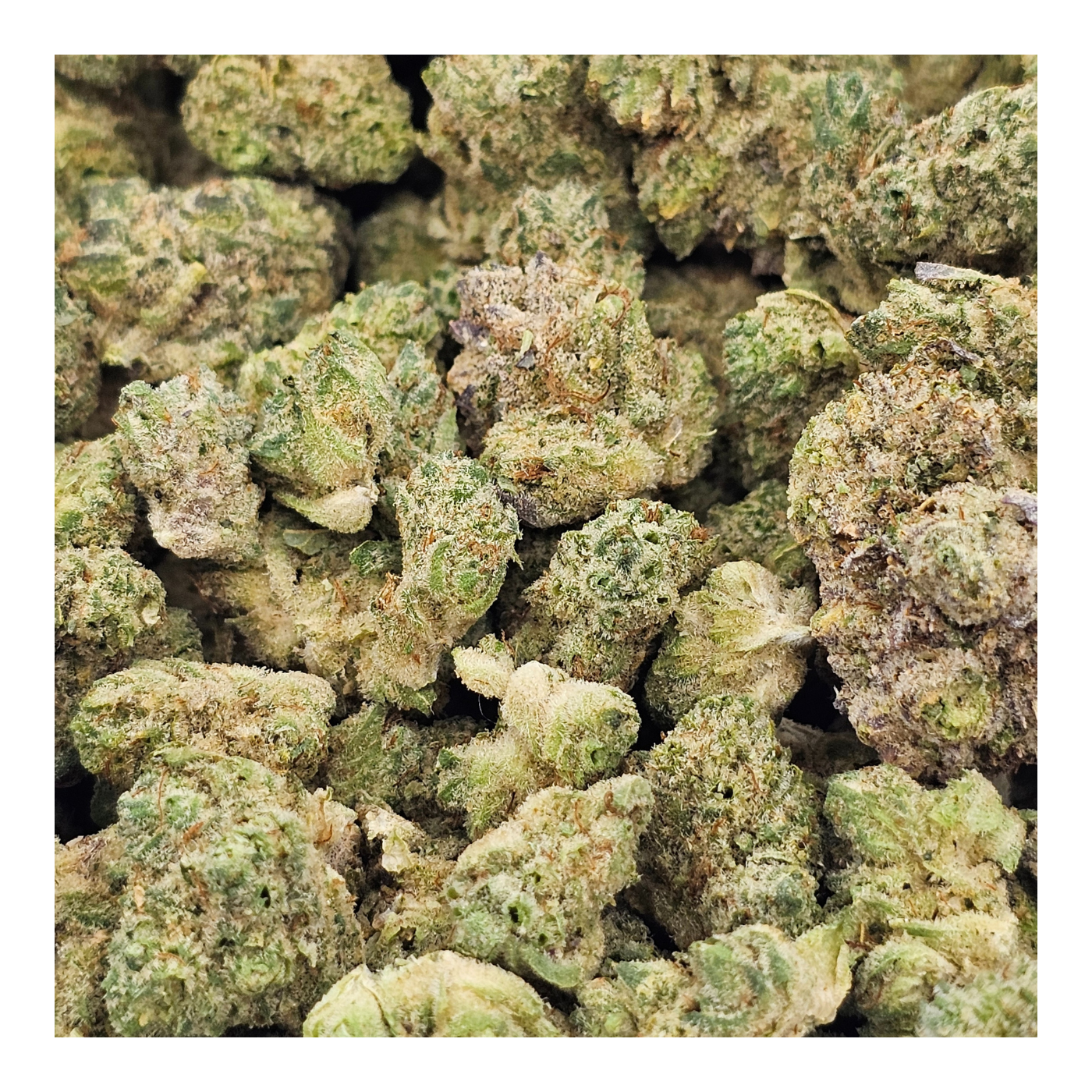 Photograph of product: Loud Tier - Nura - Grizzly Glue Bulk Bud - 1g