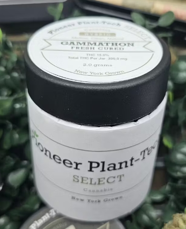 Photograph of product: Pioneer Plant-Tech - Gammathon - Flower - 2g