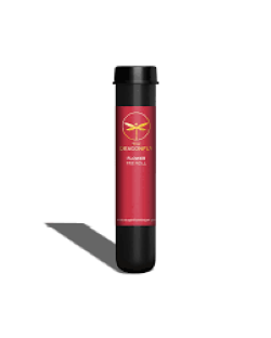 Photograph of product: DRAGONFLY | APPLES AND BANANAS | PREROLL