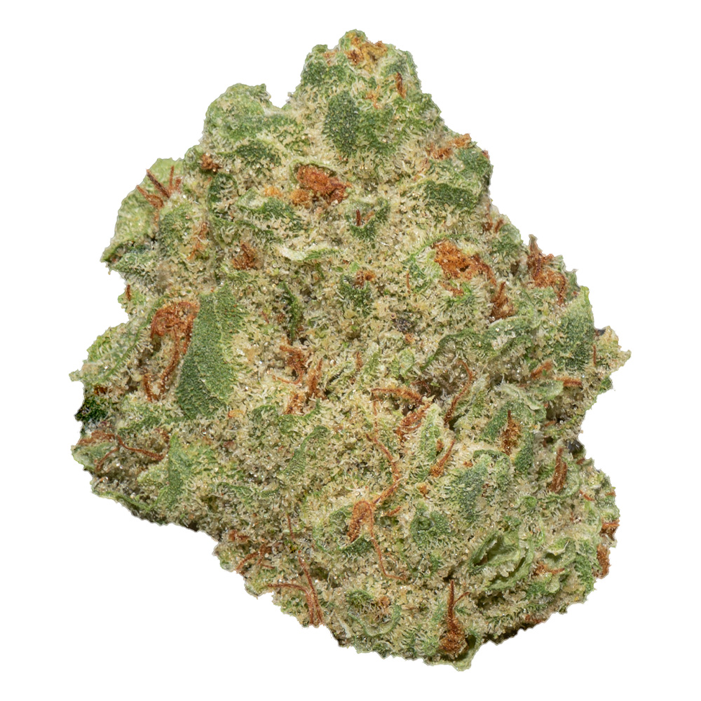 Photograph of product: Oui'd - Eighth - Hazelnut Butter Cookies - Mother Magnolia Medicinals - 3.5g