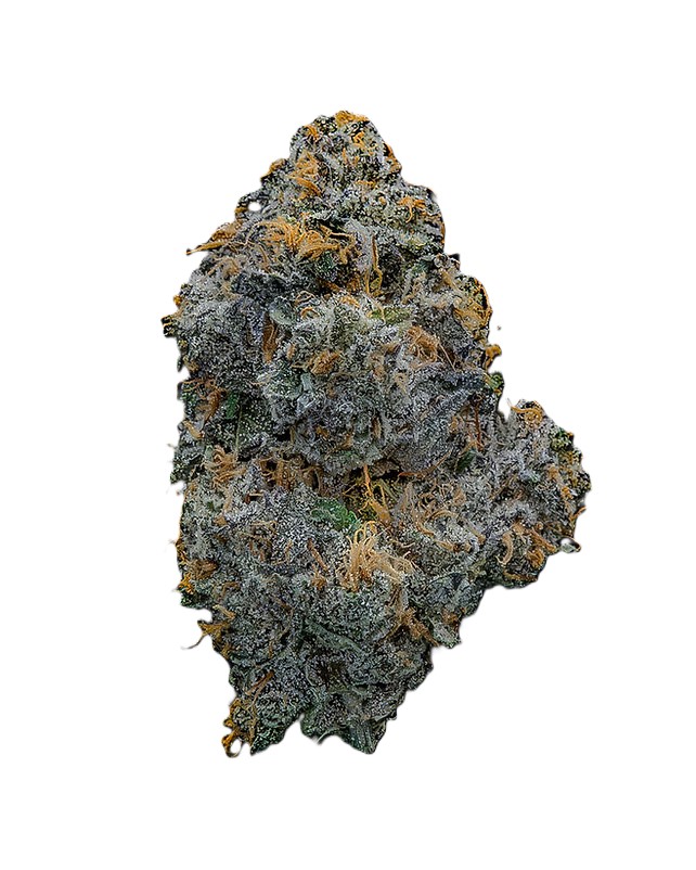 Photograph of product: Society C - Gastro Pop (Buds) - 28g