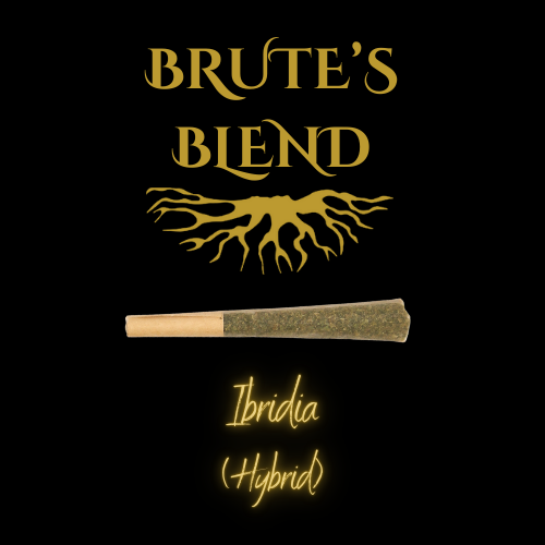 Photograph of product: Brute's Blend Hybrid - 1g Single Preroll - Brute's Roots - REC