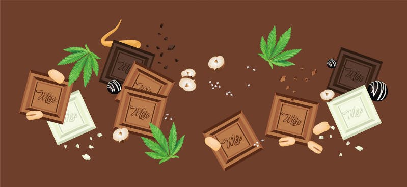 Photograph of product: Mojo - 200mg Choco-Gummies - Milk Chocolate Orange (Hybrid)
