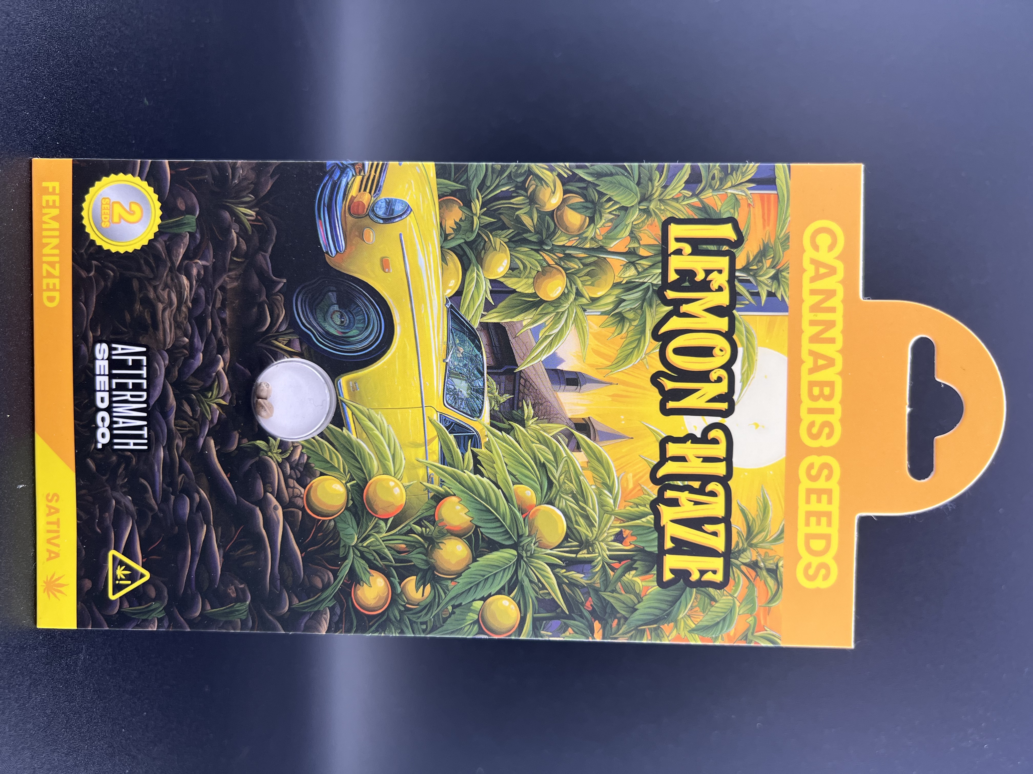 Photograph of product: Aftermath Seed Co. - Lemon Haze - Oui'd Seeds - 2pk
