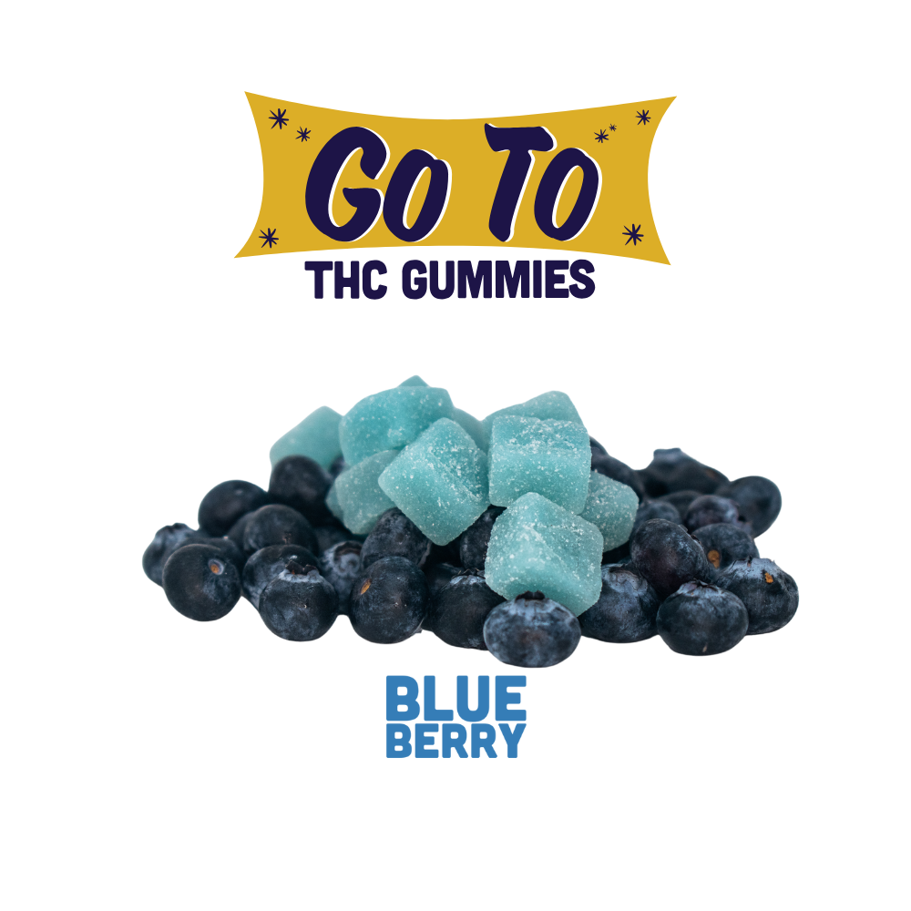 Photograph of product: Blueberry Gummies 20pk / 100mg