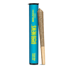 Photograph of product: "Brunch" Orange | 1g Infused Preroll | Good News