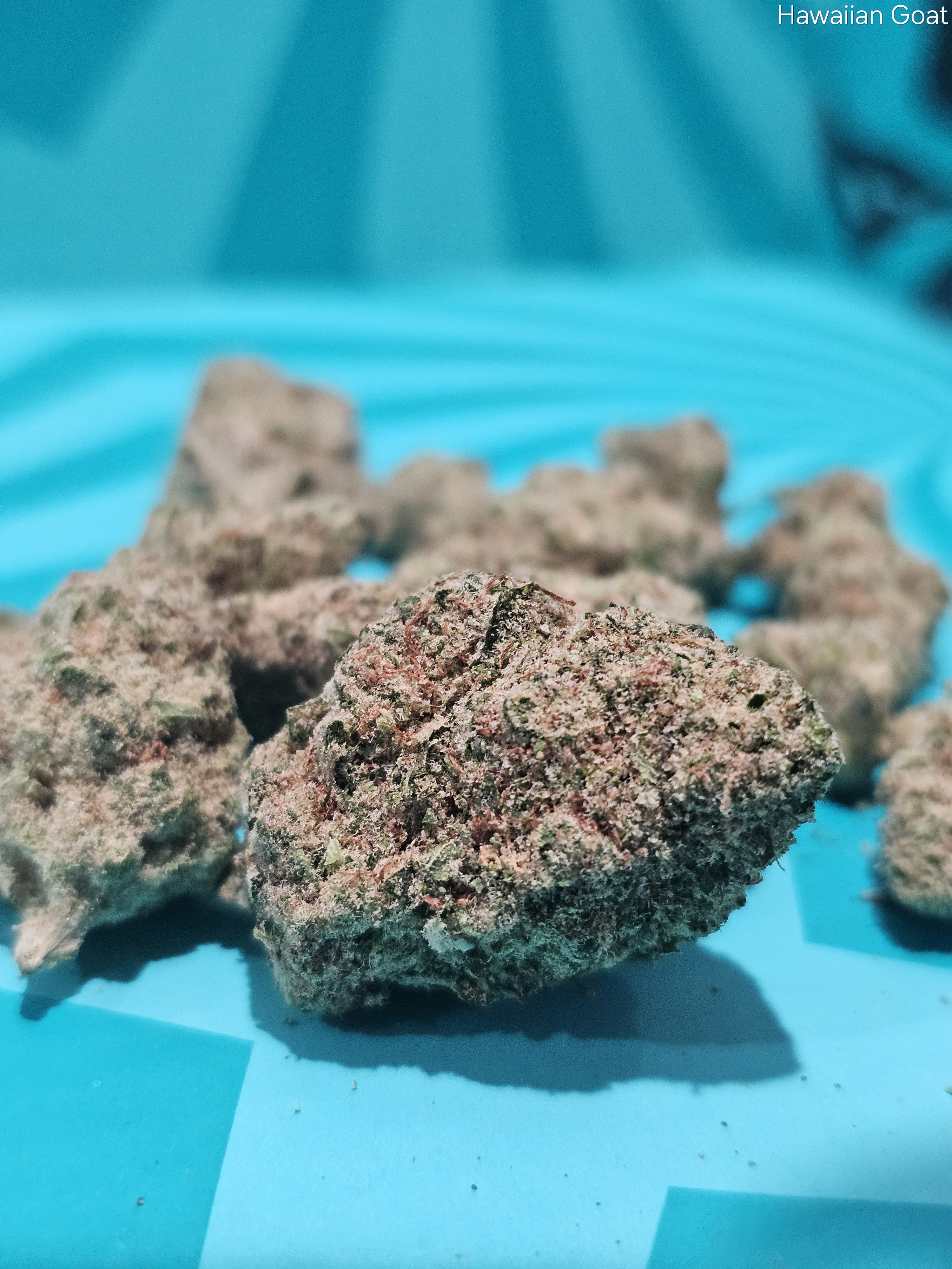 Photograph of product: PF | Flower | REC - Hawaiian Goat - 28g