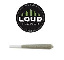 Photograph of product: Bowser 24 | MI LOUD